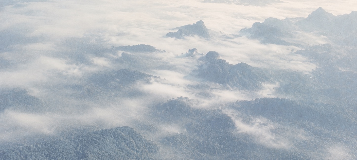 Aerial view across a forest landscape covered by mist